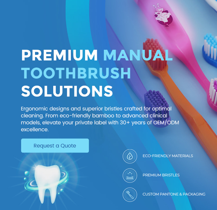 Premium Manual Toothbrush Solutions