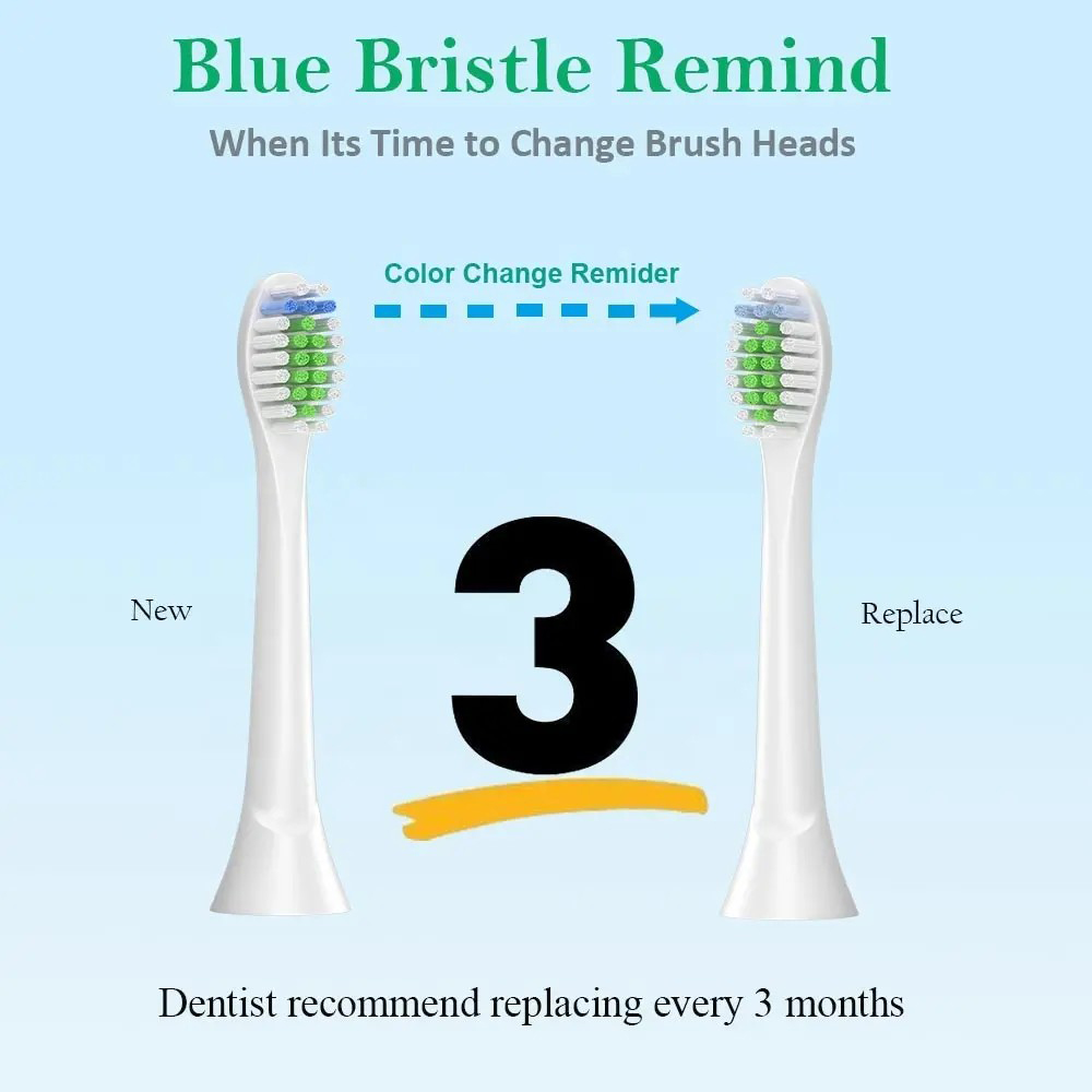 Medium Soft Bristles Protective Clean Replacement Toothbrush Heads Supplier