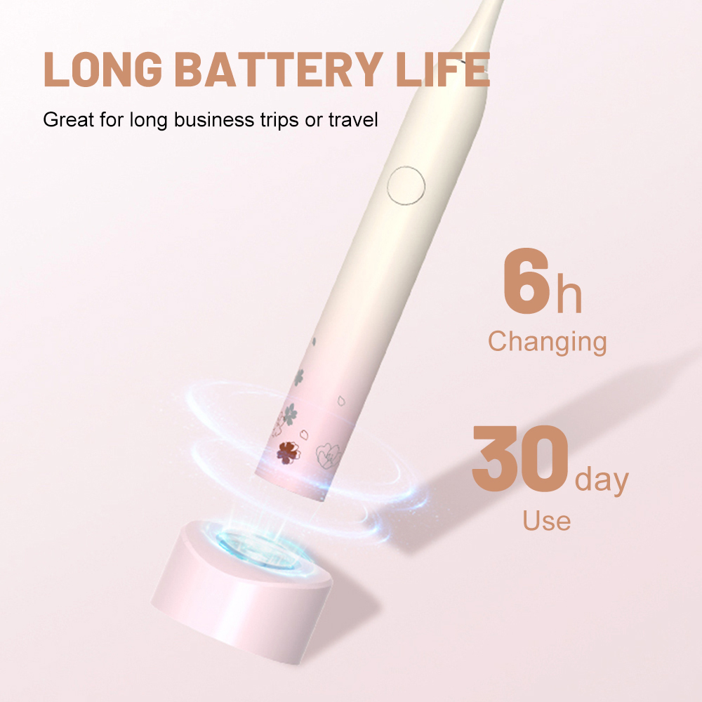 OEM Customized Household Rechargeable Sonic Electric Toothbrush