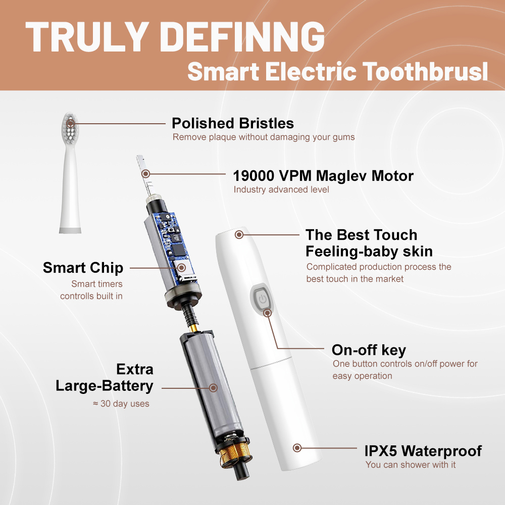 OEM Light Plastic One Button Control Small Electric Toothbrush with Battery Operated