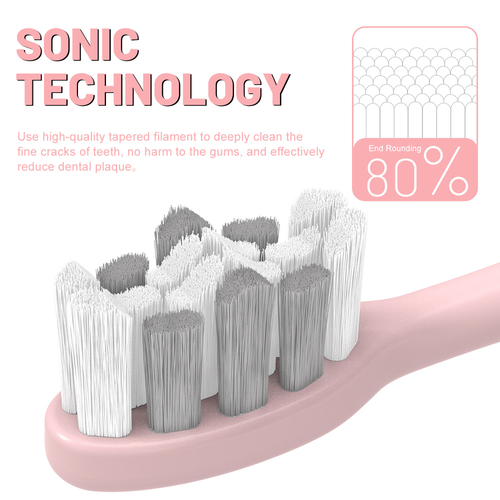 Private Label Rechargeable Adult Sonic Rechargeable Electric Toothbrush