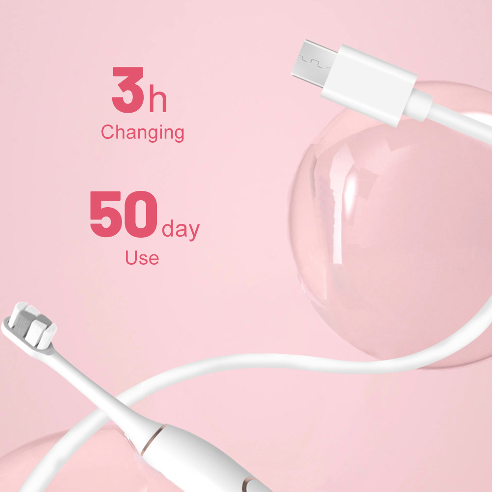 Wholesale Toothbrush Manufacturers USB Charging Sonic Electric Toothbrush