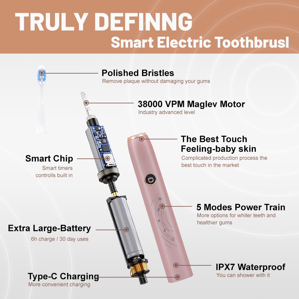 Factory Wholesale Charging Automatic Electric Toothbrush for Adult
