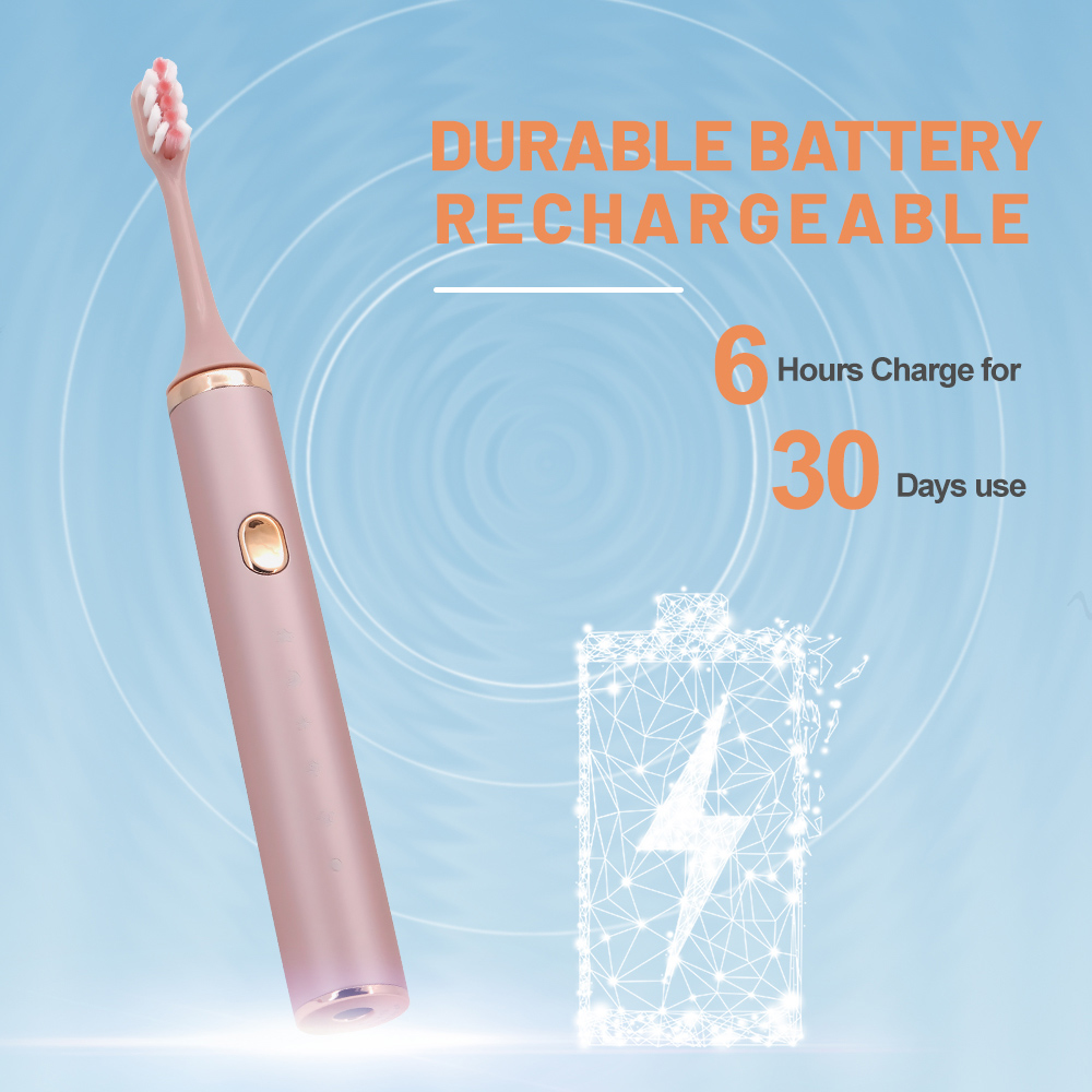 Private Label Adult Portable Waterproof Rechargeable Sonic Electric Toothbrush