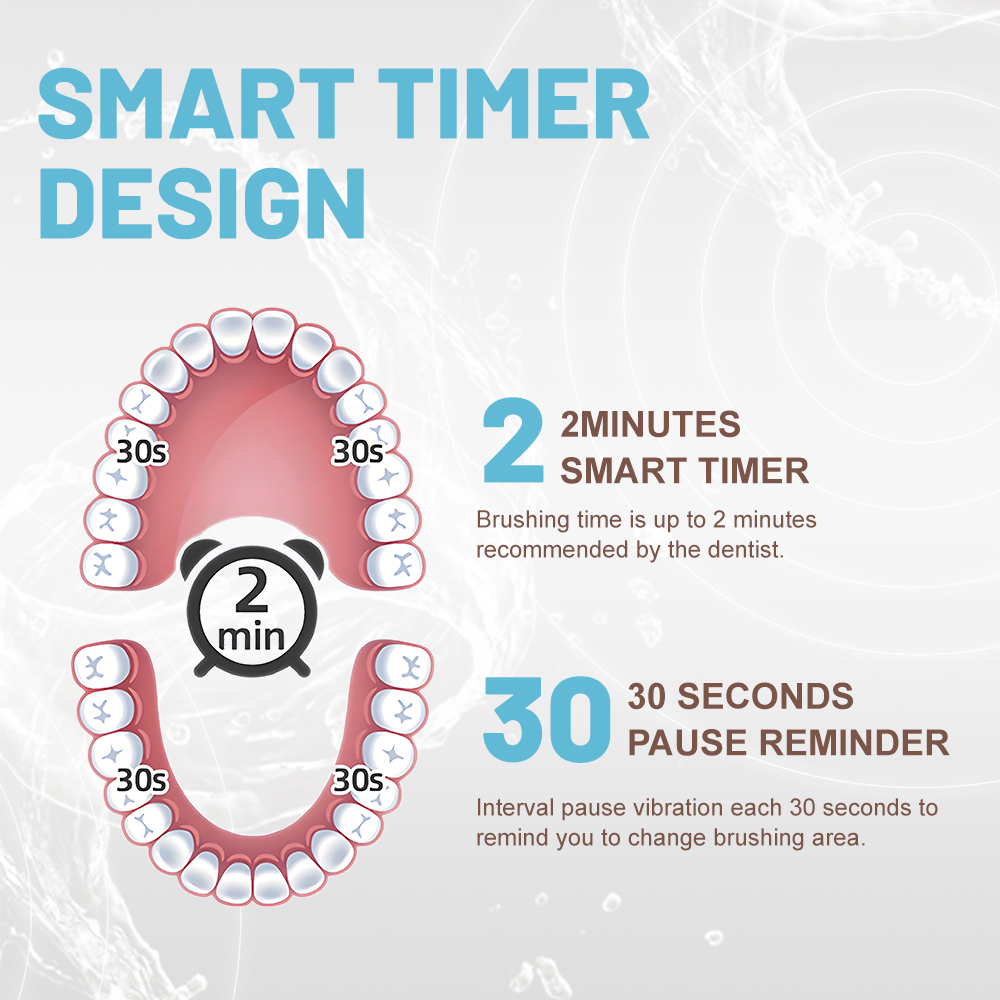 Private Label Rechargeable Adult Sonic Rechargeable Electric Toothbrush
