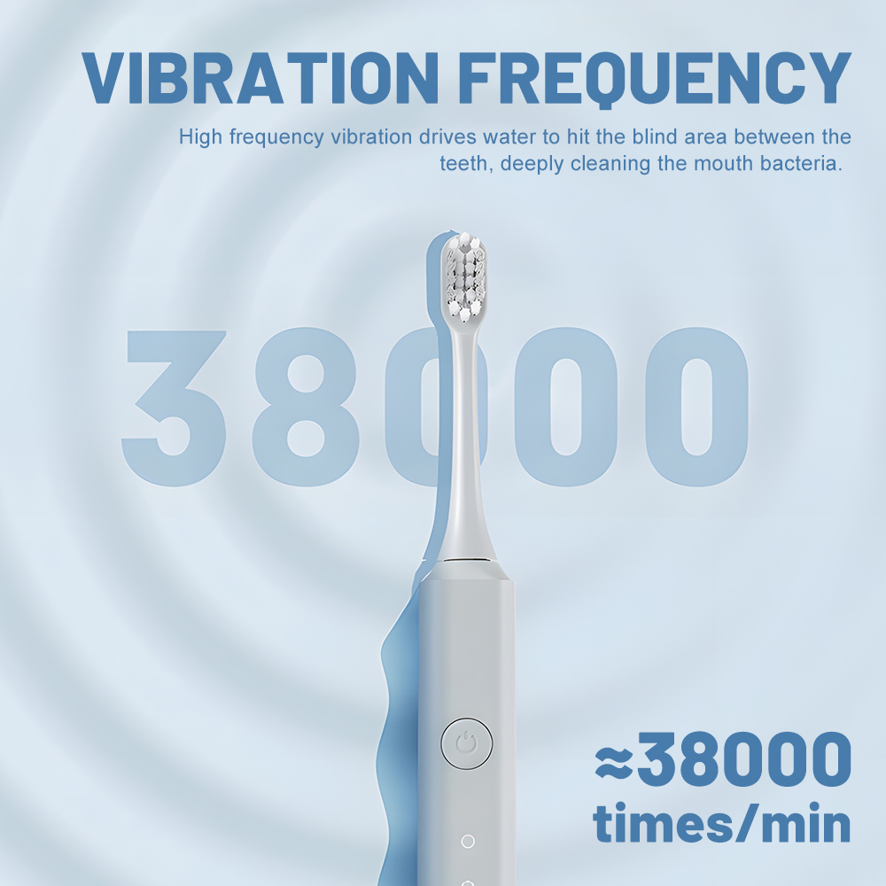 OEM IPX7 Waterproof Sonic Electric Toothbrush for Adults