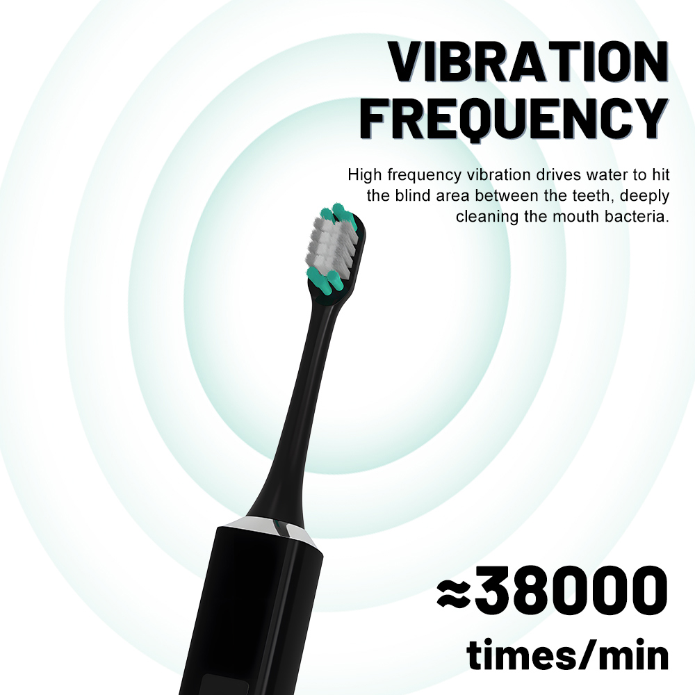 ODM Adult Rechargeable IPX7 Waterproof Sonic Electric Toothbrush Portable