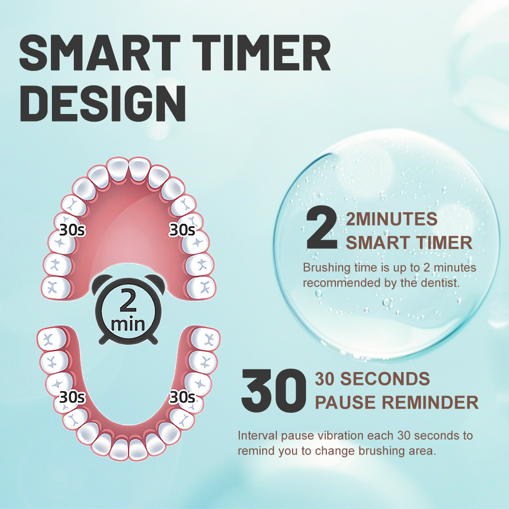 Private Label Adult Portable Waterproof Rechargeable Sonic Electric Toothbrush