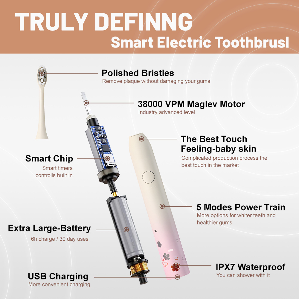 OEM Customized Household Rechargeable Sonic Electric Toothbrush