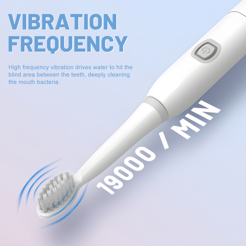 OEM Light Plastic One Button Control Small Electric Toothbrush with Battery Operated