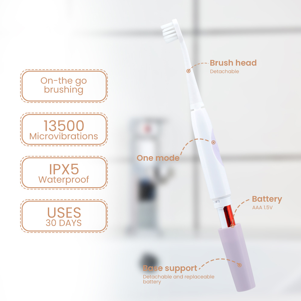 Wholesale Battery Waterproof IPX7 Electric Toothbrush for Adult with Replaceable Brush Heads