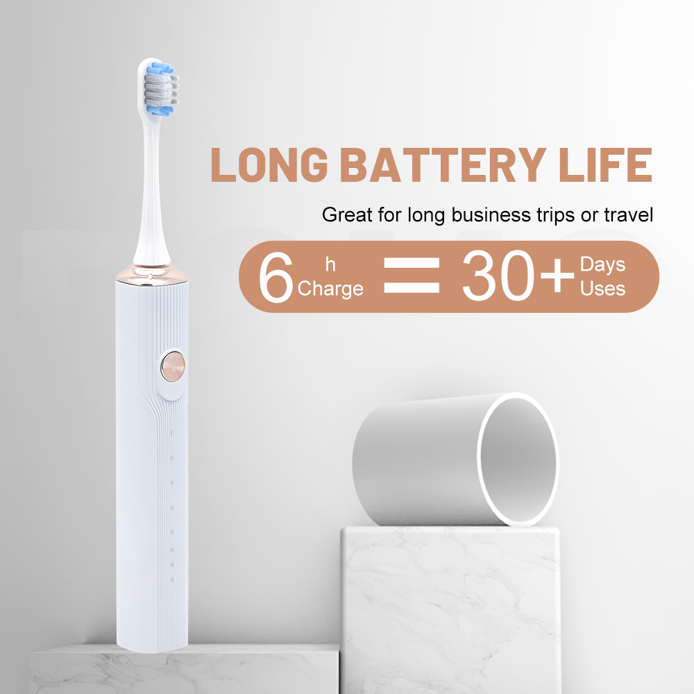 OEM Customized Household Rechargeable Sonic Electric Toothbrush