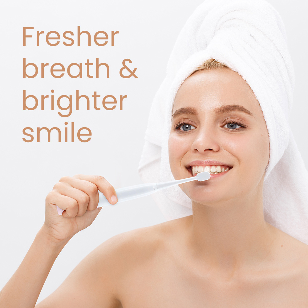 Wholesale Battery Waterproof IPX7 Electric Toothbrush for Adult with Replaceable Brush Heads