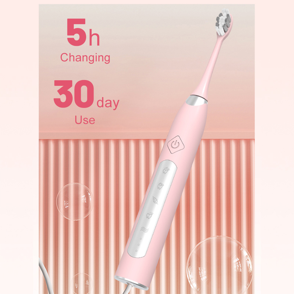 Private Label Rechargeable Adult Sonic Rechargeable Electric Toothbrush
