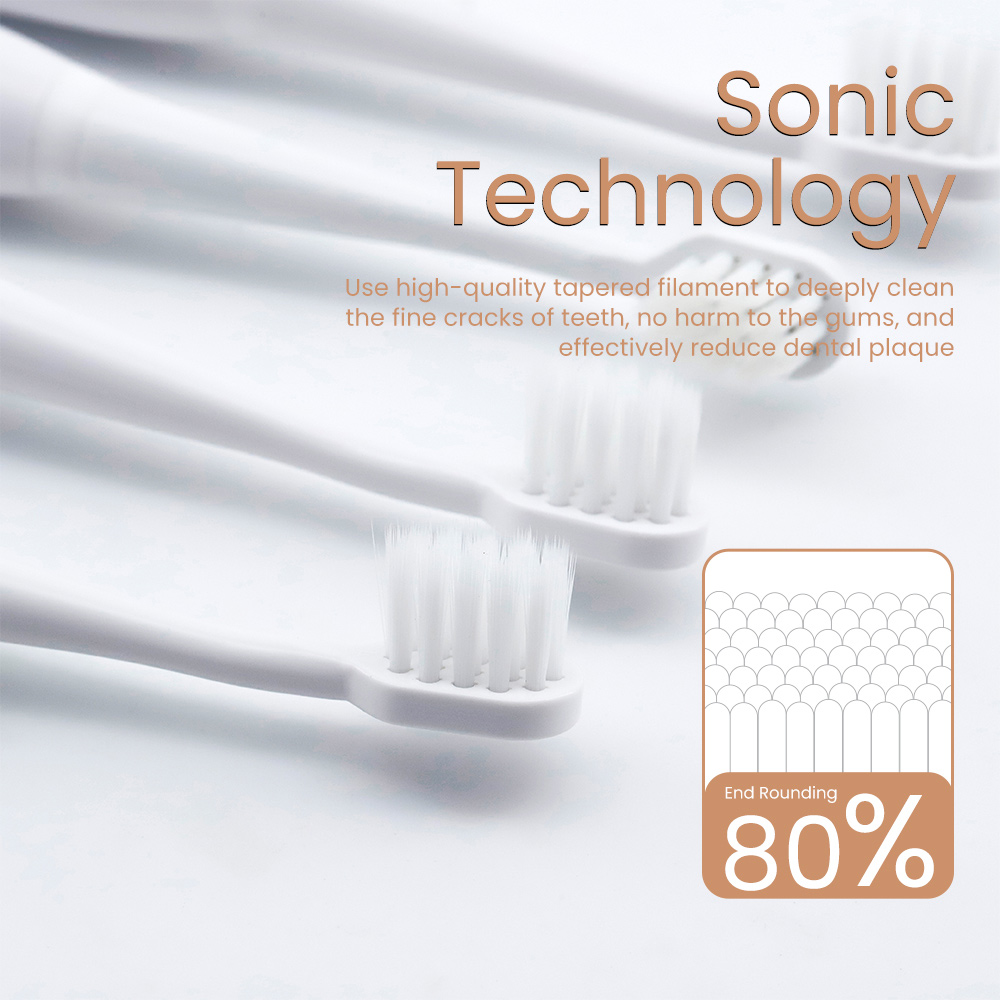 Wholesale Battery Waterproof IPX7 Electric Toothbrush for Adult with Replaceable Brush Heads