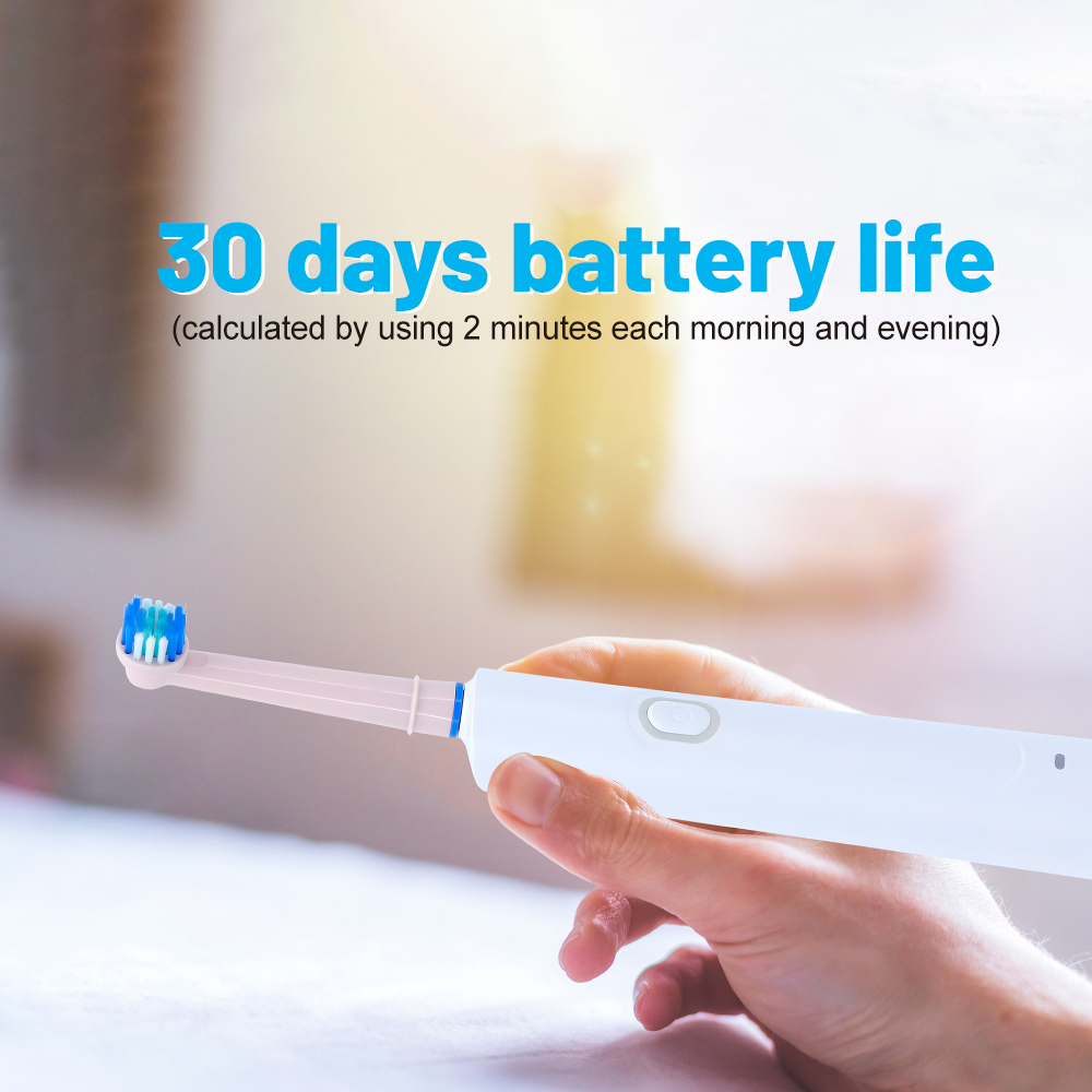 Wholesale Best Private Label Adult Electric Toothbrush