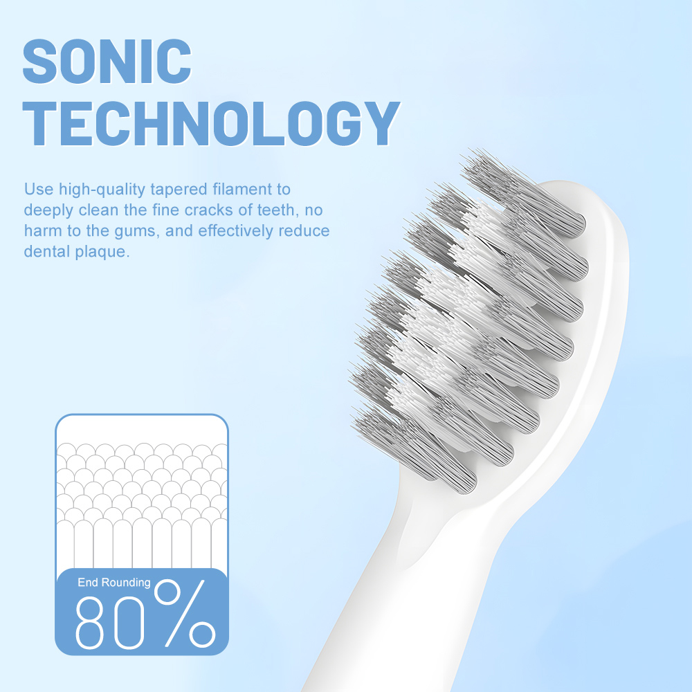Private Label Battery Portable Waterproof Electric Toothbrush for Adults
