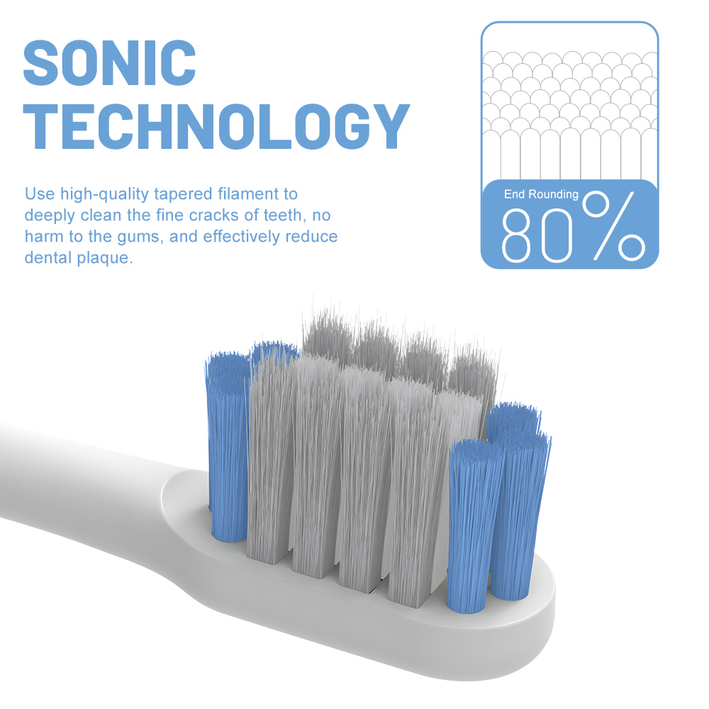 ODM Adult Rechargeable IPX7 Waterproof Sonic Electric Toothbrush Portable