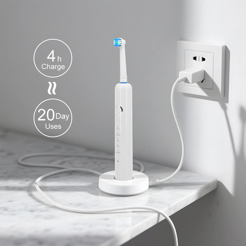 OEM Customize Adult Automatic Wireless Electric Toothbrush Factory