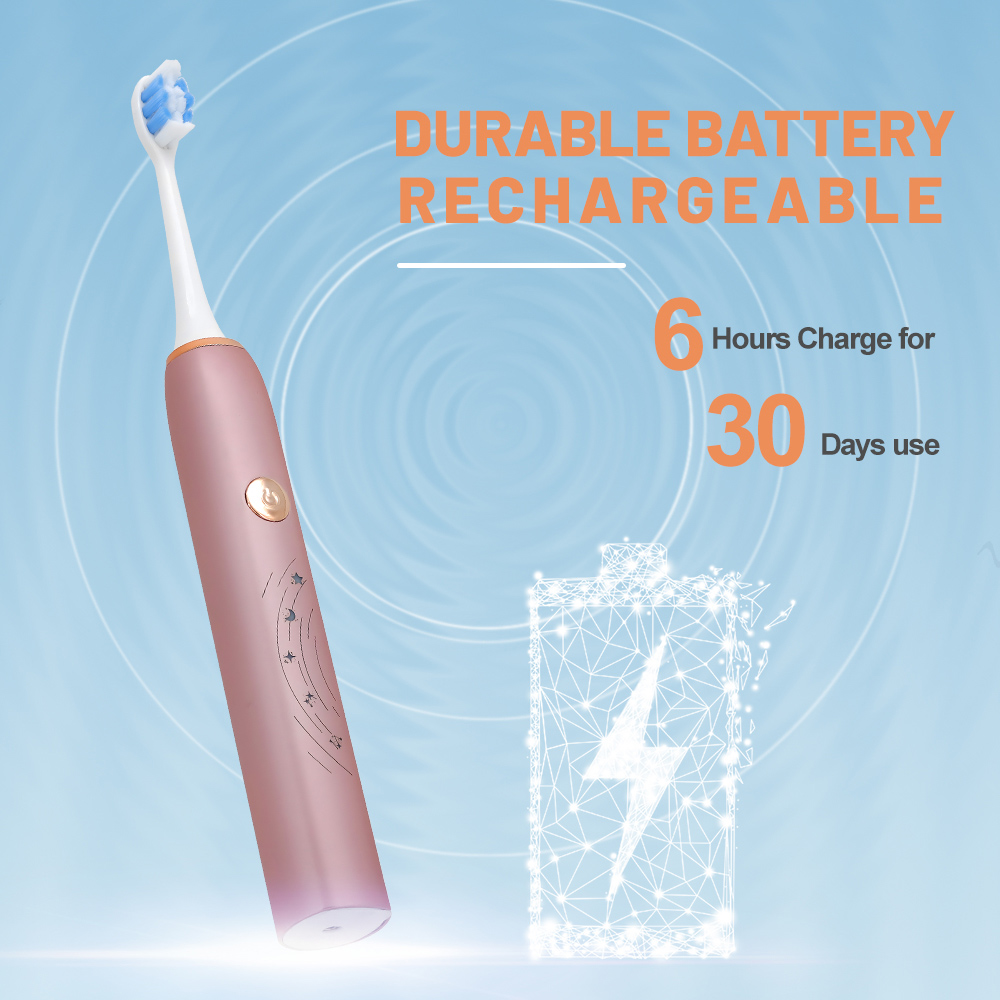 Factory Wholesale Charging Automatic Electric Toothbrush for Adult