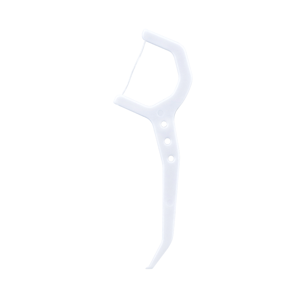 Customized Personal logo Oral Hygiene Floss Toothpick Copy