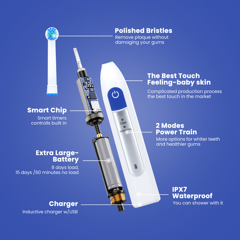 Customized Battery Operated Rotary Electric Toothbrush For Adult Copy
