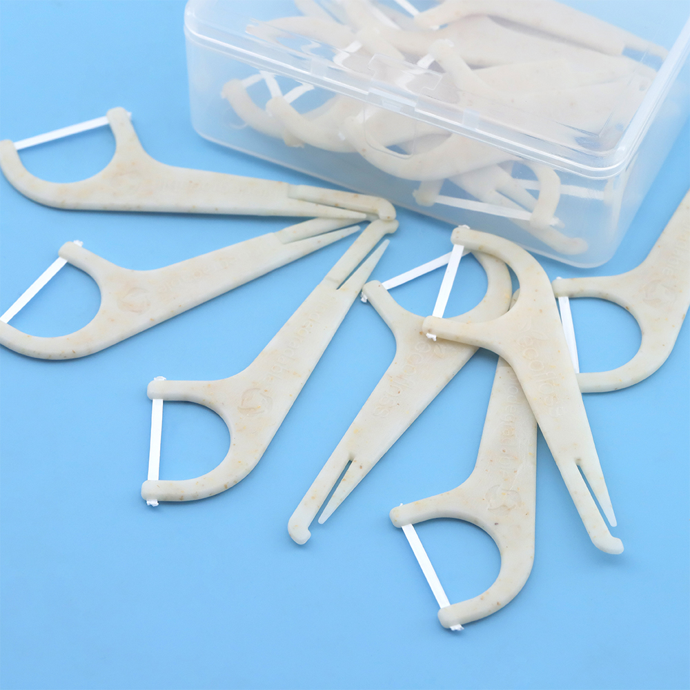 Customized Eco-Friendly Disposable Plastic Dental Flosspick Copy