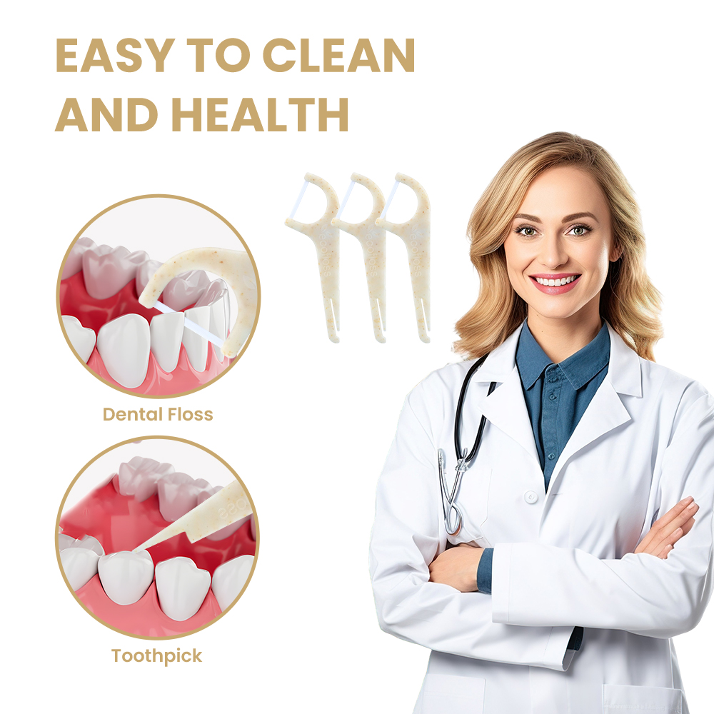 Customized Eco-Friendly Disposable Plastic Dental Flosspick Copy