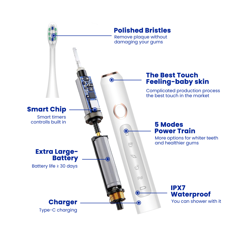Entry Level Sonic Electric Toothbrush OEM Manufacturer with 5 Modes