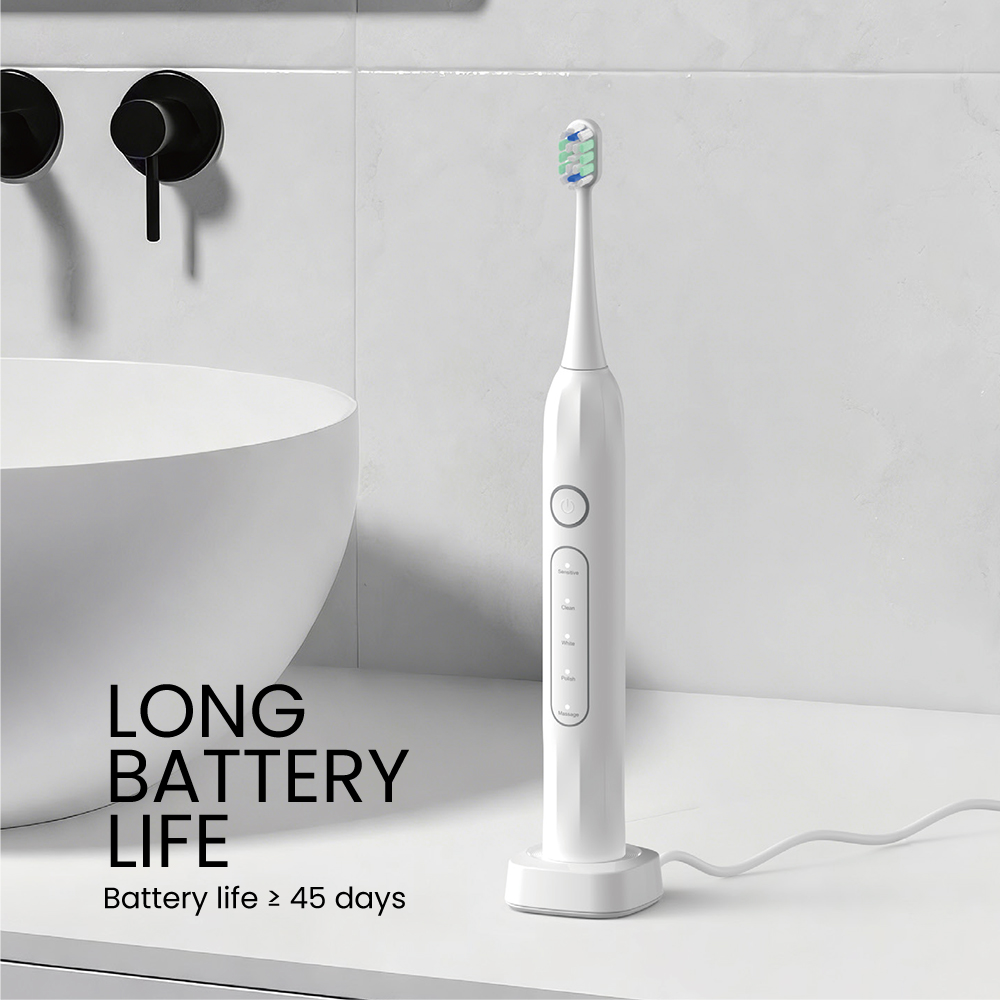 Custom Logo Home Dental Bleaching Electric Toothbrush