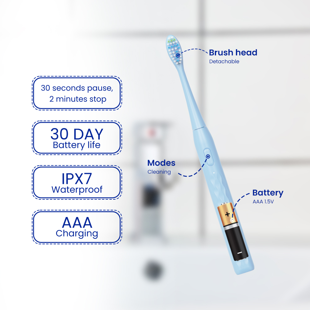 IPX7 Battery Toothbrush with 2-Minute Timer OEM Manufacturer