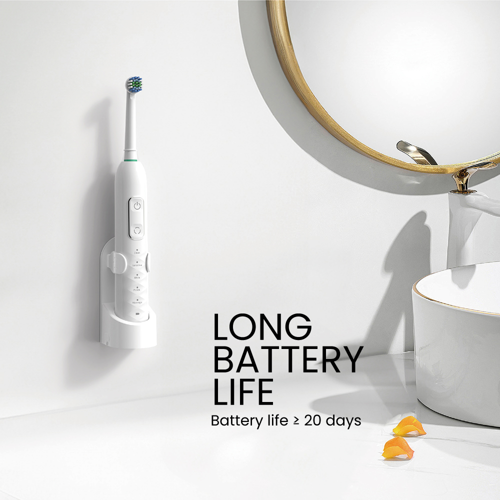rotating toothbrush manufacturer China