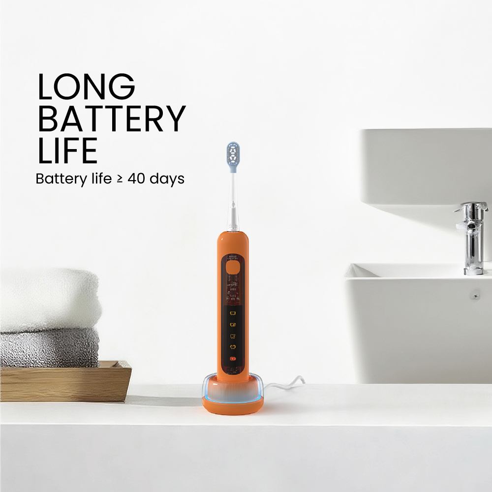 Private label electric toothbrush
