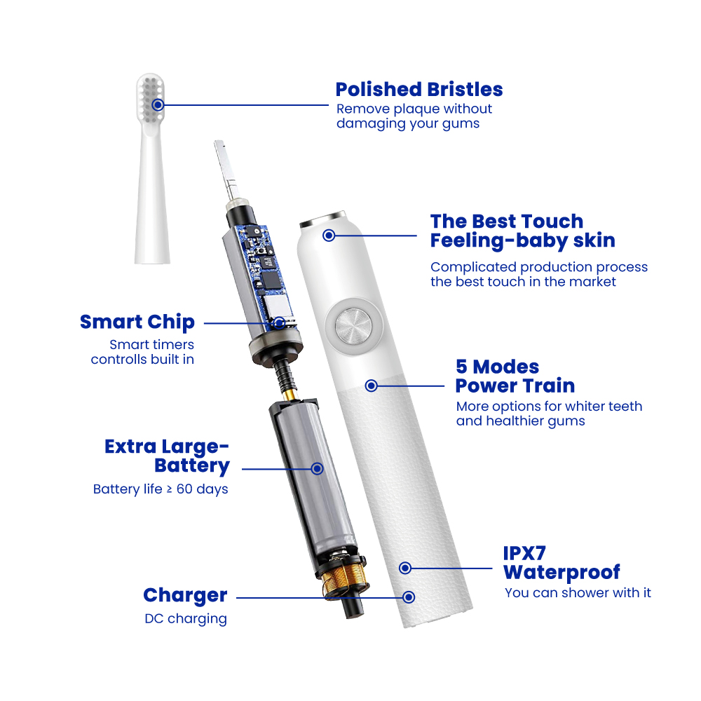 Lightweight Vibrating Toothbrush with 60-Day Battery OEM Manufacturer