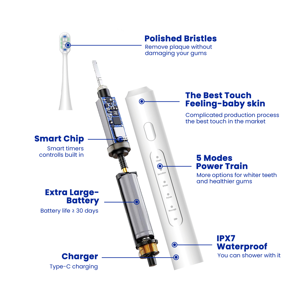 Budget 5-Mode Sonic Toothbrush OEM Manufacturer