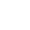 Overview icon 1